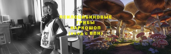 a pvp Алзамай