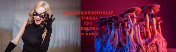 a pvp Алзамай