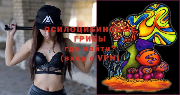 амфетамин Алексин