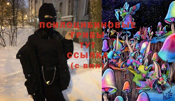 ГАЛЛЮЦИНОГЕННЫЕ ГРИБЫ Абдулино