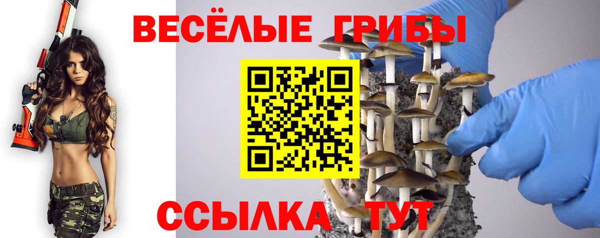 Галлюциногенные грибы Psilocybe  Вход с VPN  Кимовск 